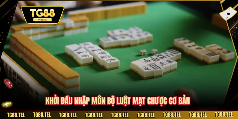 Khởi đầu nhập môn bộ luật mạt chược cơ bản