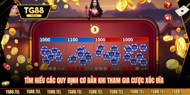 Tìm hiểu các quy định cơ bản khi tham gia cược xóc đĩa